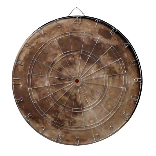 DSC02662.JPG ダーツボード (正面)