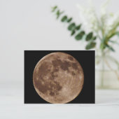 DSC02662.JPG ポストカード (スタンド正面)