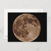 DSC02662.JPG ポストカード (正面/裏面)