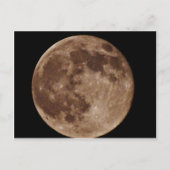 DSC02662.JPG ポストカード (正面)