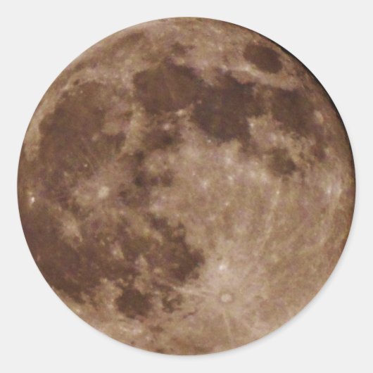 DSC02662.JPG ラウンドシール (正面)