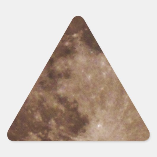 DSC02662.JPG 三角形シール (正面)