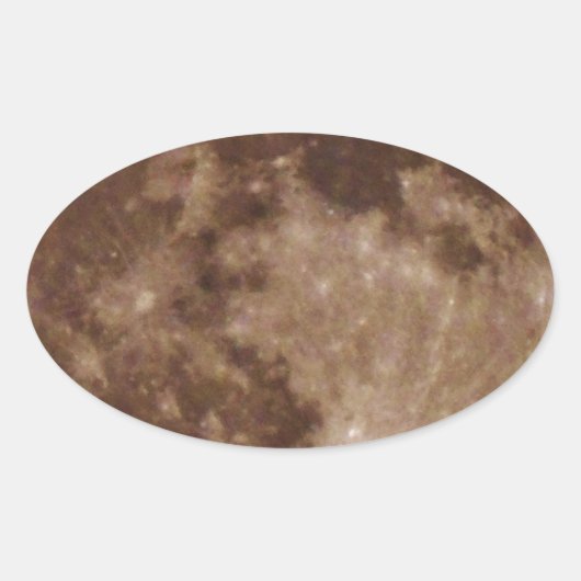 DSC02662.JPG 楕円形シール (正面)