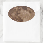 DSC02662.JPG 楕円形シール (バッグ)