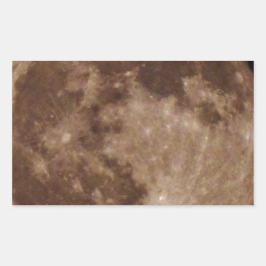 DSC02662.JPG 長方形シール (正面)