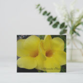 DSC03203, アラマンドラの花 - カスタマイ... ポストカード (スタンド正面)