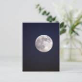 DSC03882 a ポストカード (スタンド正面)