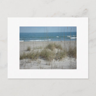 DSC04194, Cocoaビーチ, FLPhoto by Julie.B.Carter ポストカード