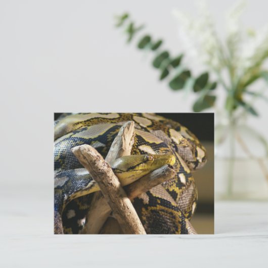 DSC04222 ポストカード (スタンド正面)