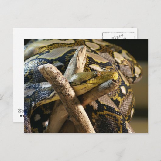 DSC04222 ポストカード (正面/裏面)