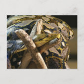 DSC04222 ポストカード (正面)