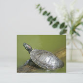 DSC04275 ポストカード (スタンド正面)