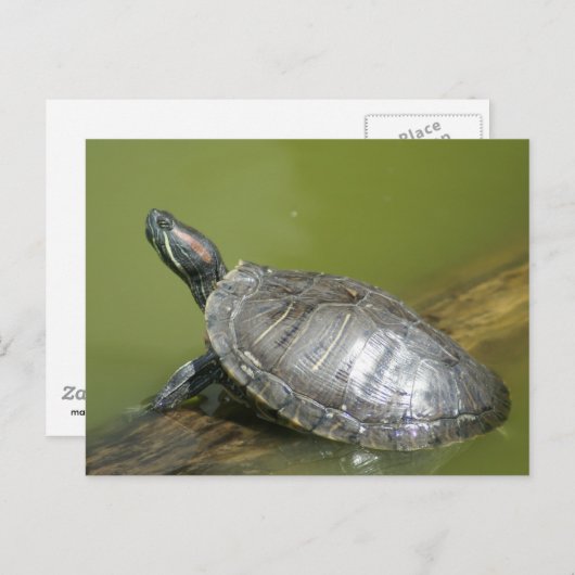 DSC04275 ポストカード (正面/裏面)