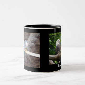 DSC04582、DSC04495のサリーのマグ ツートーンマグカップ