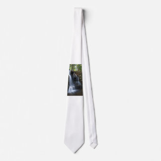 DSC04826コピー ネクタイ