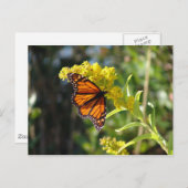 DSC05261 ポストカード (正面/裏面)