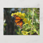 DSC05261 ポストカード (正面)