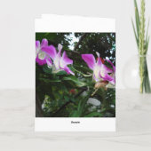 DSC05795, カンボジアのお正月おめでとう シーズンカード (裏面)