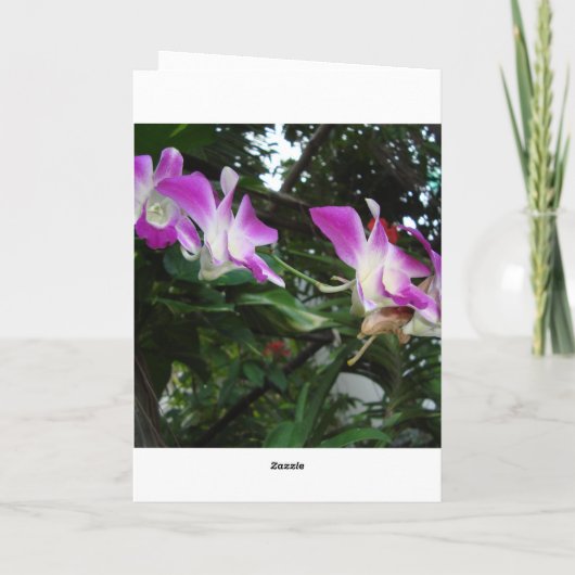 DSC05795, カンボジアのお正月おめでとう シーズンカード (裏面)