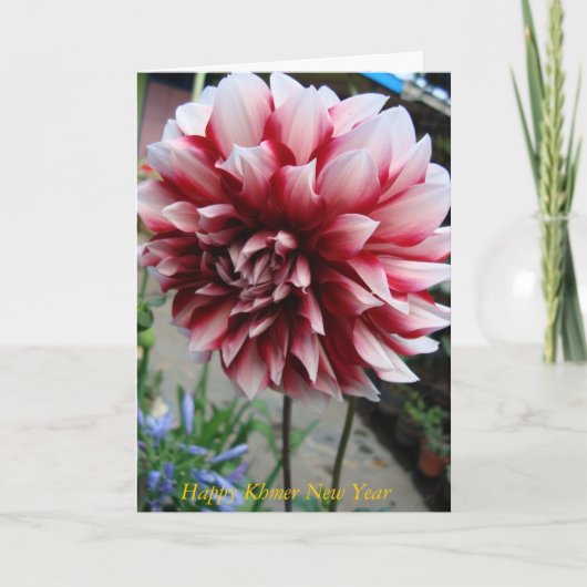 DSC05795, カンボジアのお正月おめでとう シーズンカード (正面)
