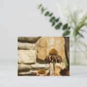 DSC06868 ポストカード (スタンド正面)