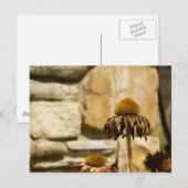 DSC06868 ポストカード (正面/裏面)