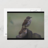 DSC07310 ポストカード (正面/裏面)