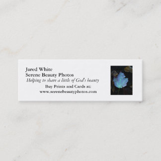 DSC07579、Jaredの白、落ち着いた美しいの写真、彼… スキニー名刺