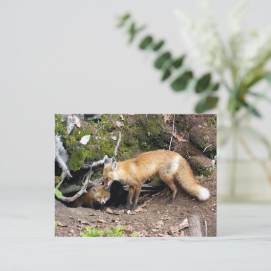 DSC08270コピー ポストカード (スタンド正面)