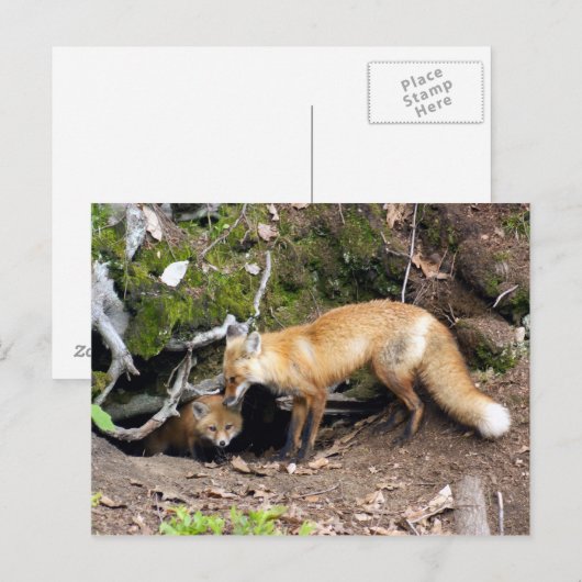 DSC08270コピー ポストカード (正面/裏面)