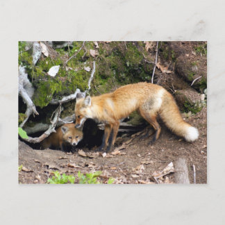 DSC08270コピー ポストカード