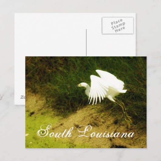 DSC08779bb、南ルイジアナ ポストカード (正面/裏面)