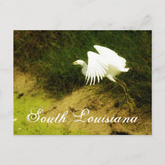 DSC08779bb、南ルイジアナ ポストカード