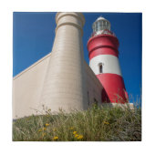 _DSC2418 タイル (正面)