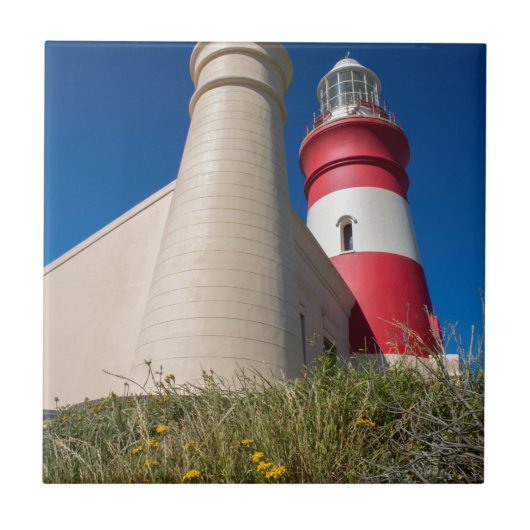 _DSC2418 タイル (正面)