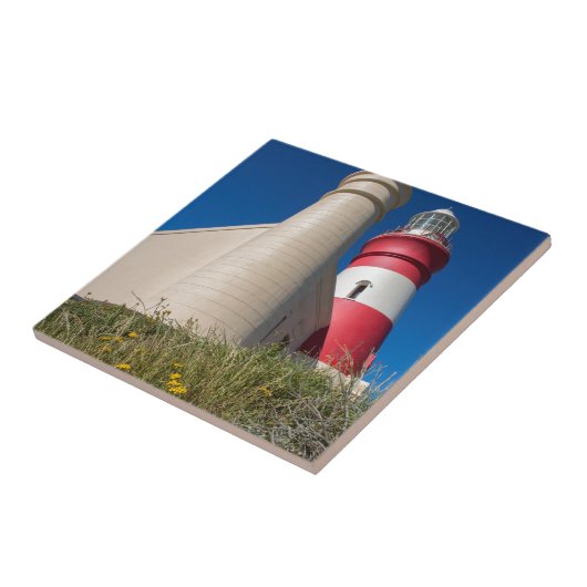 _DSC2418 タイル (側面)