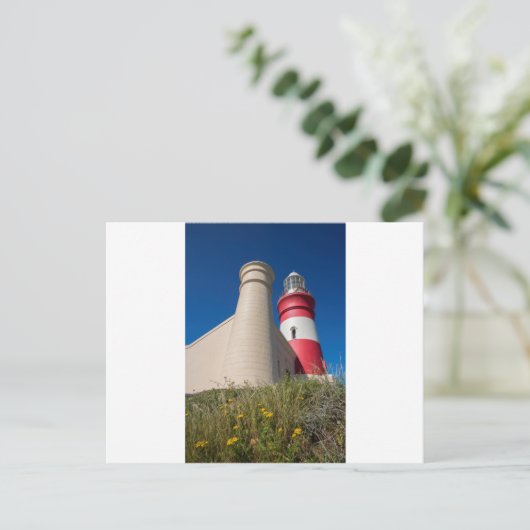 _DSC2418 ポストカード (スタンド正面)