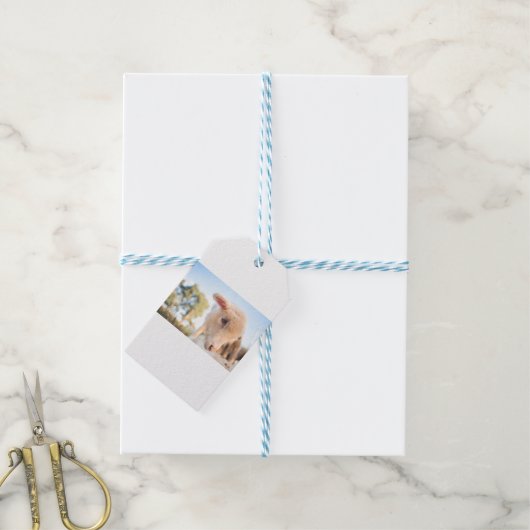 DSC2491(_D) ギフトタグ (より糸付き)