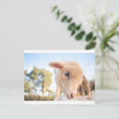 DSC2491(_D) ポストカード (スタンド正面)