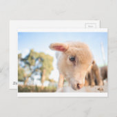 DSC2491(_D) ポストカード (正面/裏面)