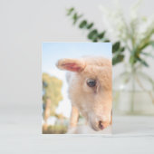 DSC2491(_D) ポストカード (スタンド正面)