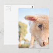 DSC2491(_D) ポストカード (正面/裏面)