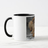 DSC_0014a、ブリュッセル、GRIFFON マグカップ (左)