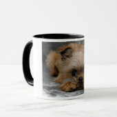 DSC_0014a、ブリュッセル、GRIFFON マグカップ (正面左)