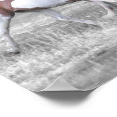 DSC_0110 ポスター (角)