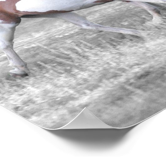 DSC_0110 ポスター (角)