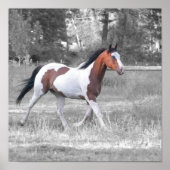 DSC_0110 ポスター (正面)