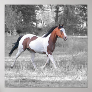 DSC_0110 ポスター