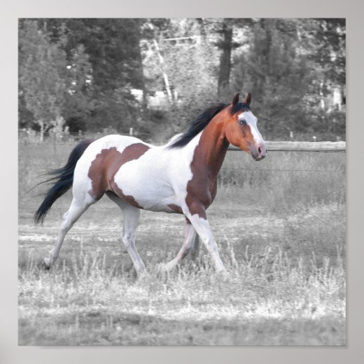 DSC_0110 ポスター (正面)