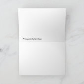 DSC_0119 カード (内部)